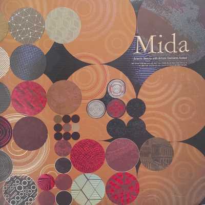MİDA