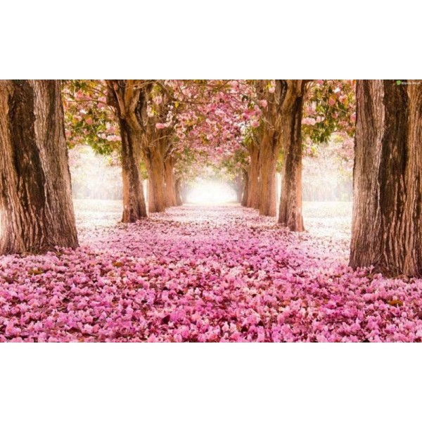 CANVAS TABLO 428 (100*75cm)