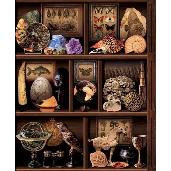 3 DYNAMIC FRANSIZ DUVAR KAĞIDI J711-08 (5m2) 3 DYNAMIC FRANSIZ DUVAR KAĞIDI J711-08 (5m2)