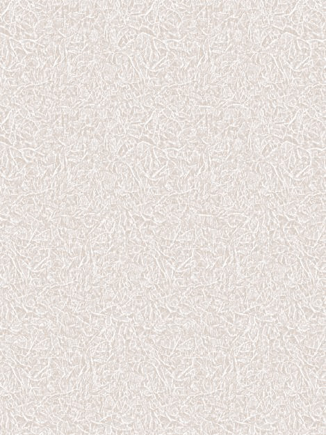 ANKAWALL BERCESTE DUVAR KAĞIDI 54601 (16.5m2)