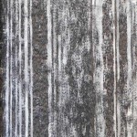 MAXWALL DUVAR KAĞIDI 19-001 (16,5m2)