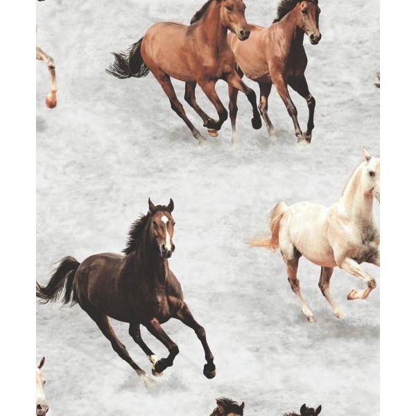 SAHARA NIGHTS FRANSIZ DUVAR KAĞIDI SK10038 (5m2)