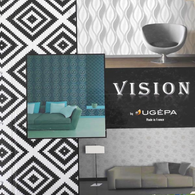 VISION