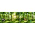 3D PANORAMIK POSTER KİŞİYE ÖZEL BASKI 02