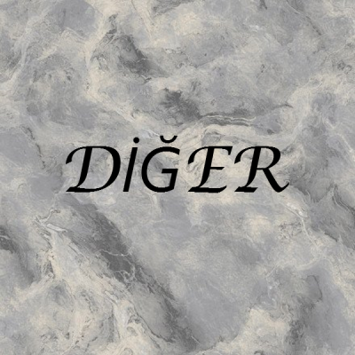 DİĞER